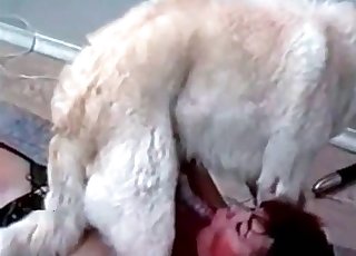 Dirty dog enjoying a good blowjob