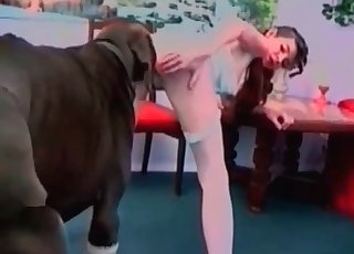 Doberman is destroying her tight hole