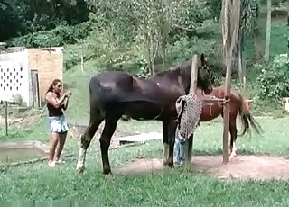 Amazing amateur bestiality with my young horse