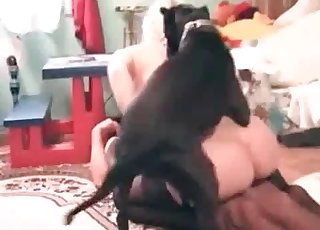 Bedroom-based banging with a dog