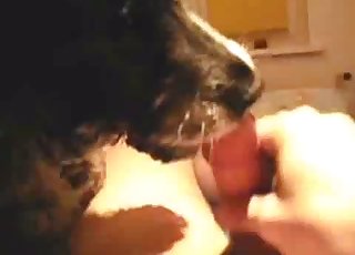 Adorable doggy and a hot chick love dirty animal sex