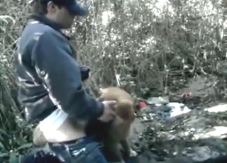 Zoo porn with a guy who fucks a dog's mouth