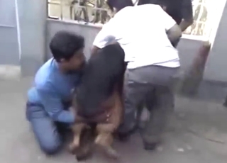 Horny zoophiles watch two dogs fuck hard