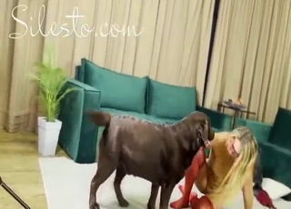 Red fishnets lady wants two dogs to fuck her