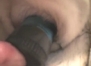 Wild zoophile scene with close-ups of a dildo play