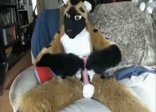 Hot and sexy furry stud jerking his dick for fun