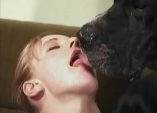 Dog dick dangles for her and she sucks it hard