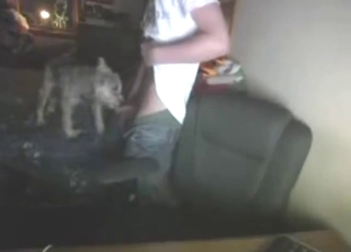 Skinny dog licking that hard dick for the cam