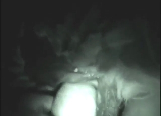 مداعبة بالأصابع