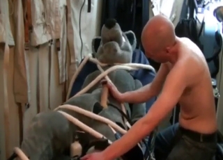 Bestiality sex with handjobs is the hottest