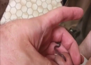 Guy is lucky to have a worm inside his penis