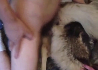 Dude is happy to fuck a slutty dog named Ruby