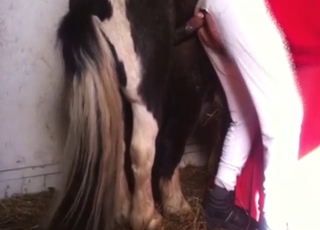 Dude with a tight asshole prefers zoophilic sex