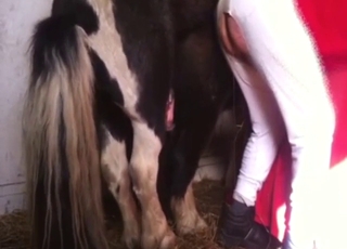 Dude with a tight asshole prefers zoophilic sex