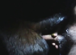 Turds and hard-earned orgasms with a sexy cow