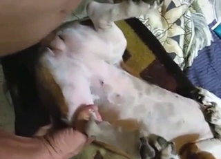 Dude is going to fuck a submissive animal here