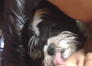 Close-up action with a sexy animal being nasty