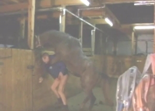 Stallion dick ruins his asshole in a twisted movie