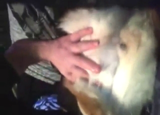 Hot bestiality porn with a guy fingering a dog