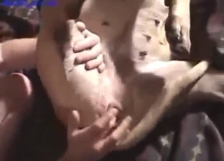 Group zoo sex with a legit horny animal fingered