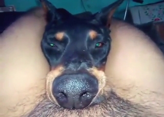 POV zoo porn with a guy and his thick thighs