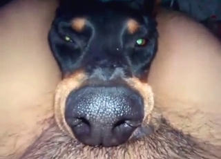 POV zoo porn with a guy and his thick thighs