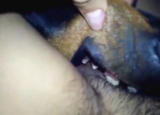 POV zoo porn with a guy and his thick thighs
