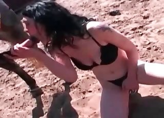 Brunette in a black bra blowing horse cock