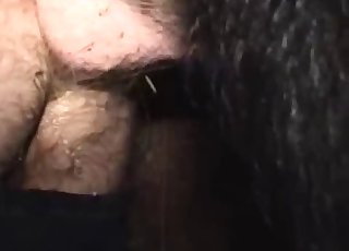 Dude is getting his ass fucked hard by a big animal cock