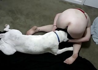White doggy rammed her tight wet cunt