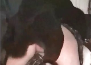 Sexy dog being dirty