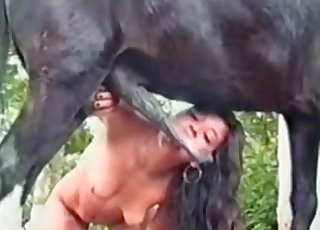 Horse dick getting pleasured